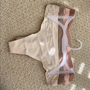 Danskin Beige and Brown Panty Set
